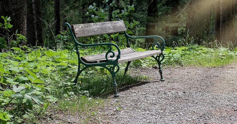 Quand le surcoût carbone se justifie (et quand il ne se justifie pas)